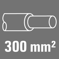 300 mm²